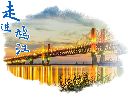 走进鸠江