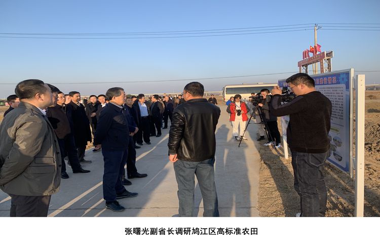 张曙光副省长调研best365官网下载_谁有365比分链接_365直播是什么高标准农田